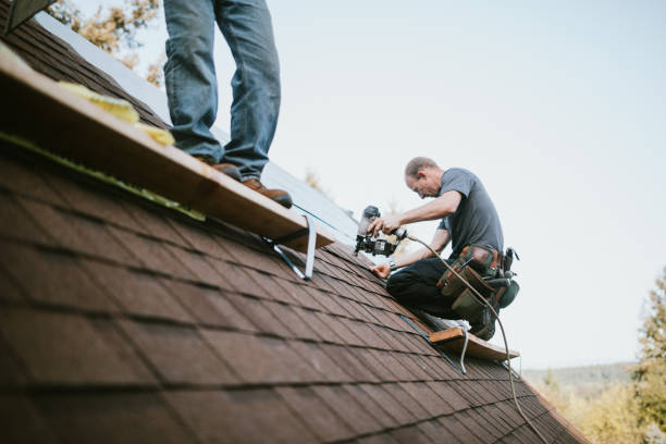 Roof Gutter Cleaning in Ladera, CA